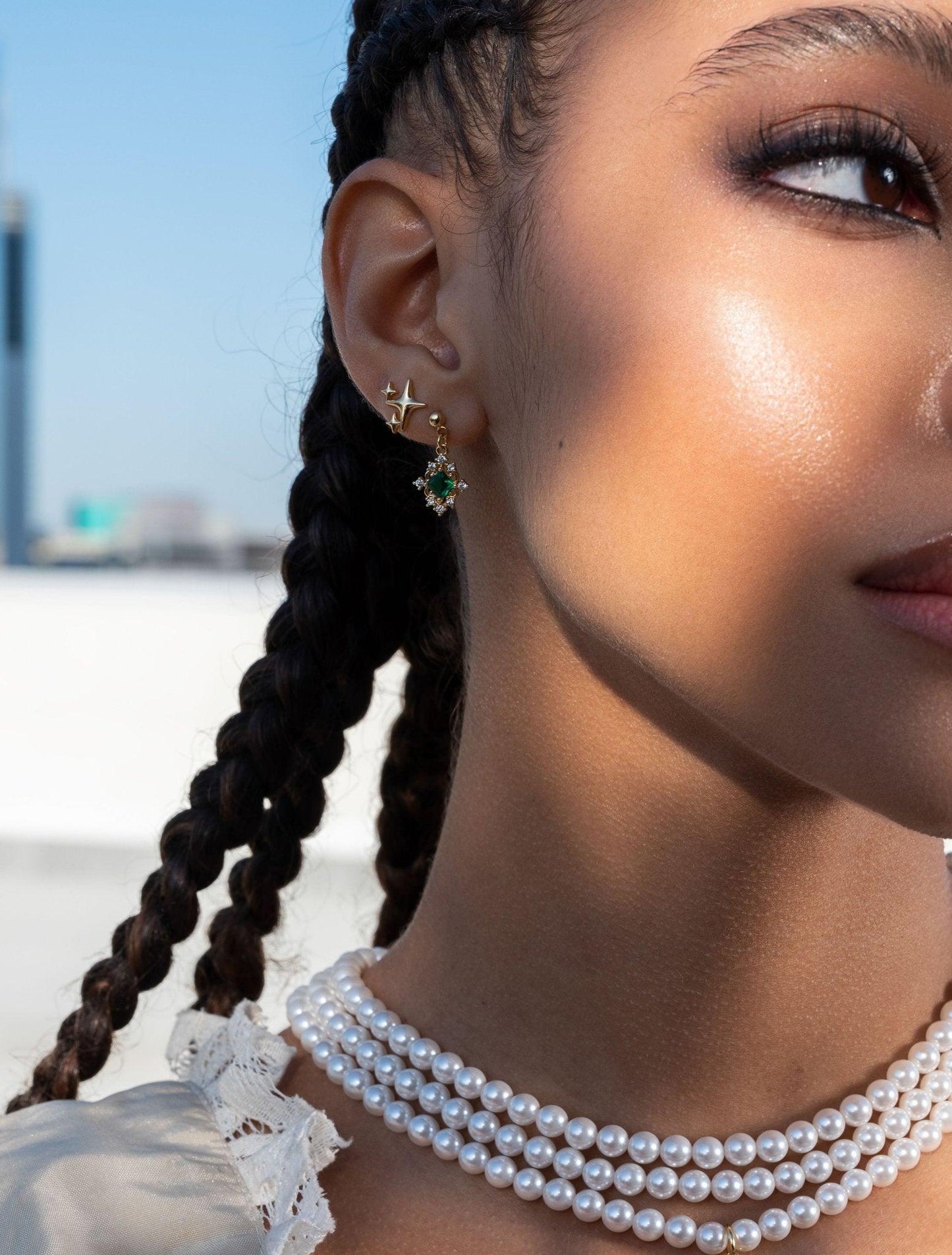 Shiny earrings
