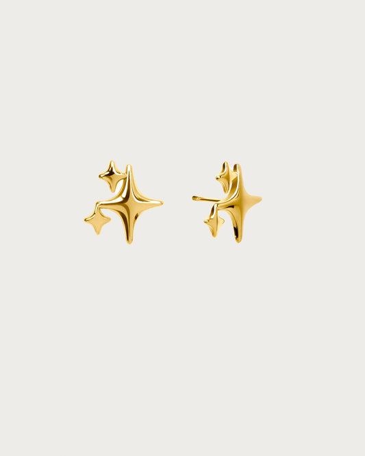 Double layer shiny earrings