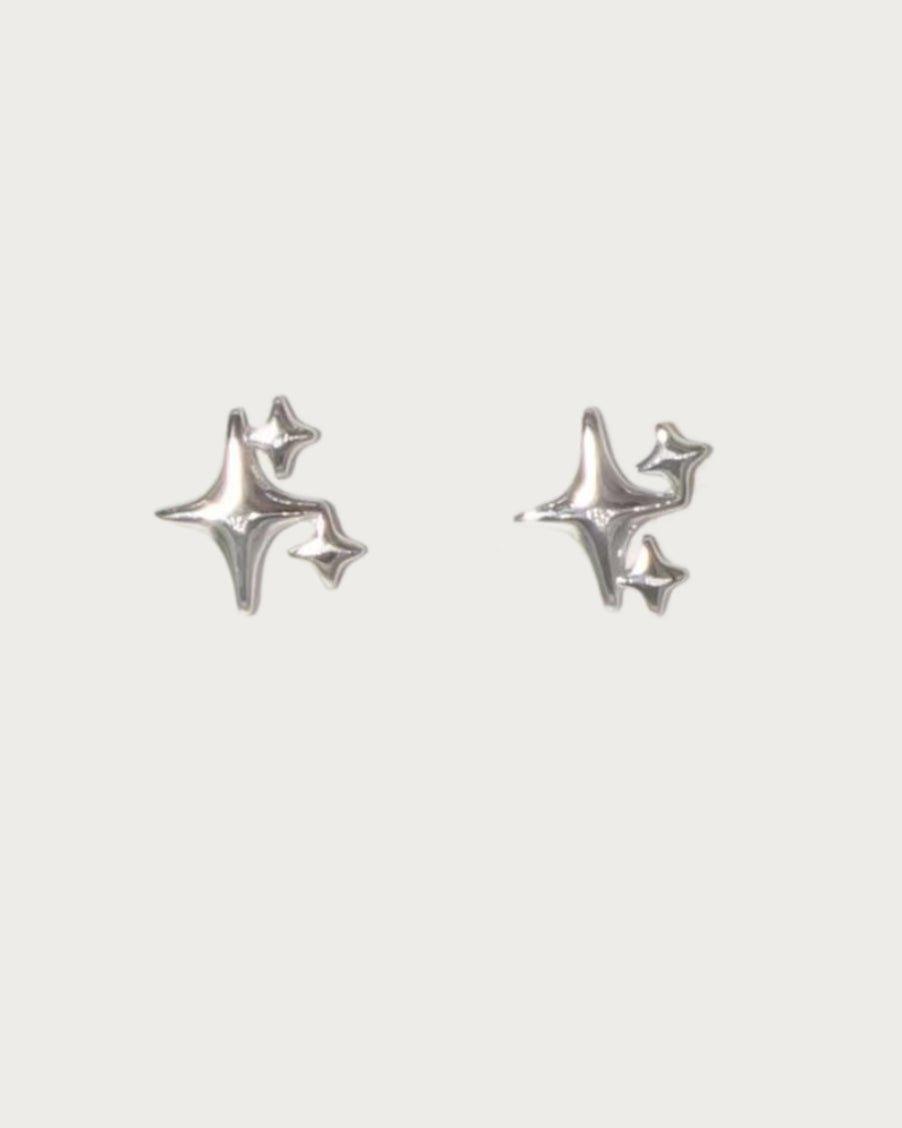 Double layer shiny earrings